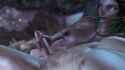 2023-09-11_14-45-04_thumb.jpg