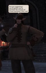 Australizen -Final Fantasy XIV- Courtesan (a)