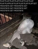 Ice