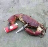 388