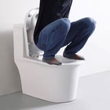 toilet1