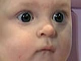 Thread 33205757 OP Image