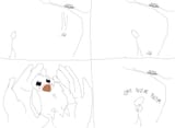 circle of life