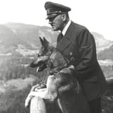 dog-and-hitler