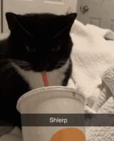 1710531554051403