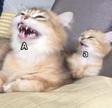 1548839717785