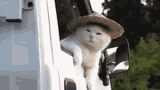 image0