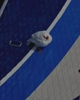 IMG_20250613_150744
