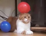 14993