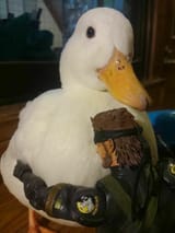 IMG_2303
