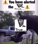 morgan-freeman-true