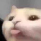 Lululululu