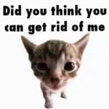 073a8944821f78965ebea725dd5af0ee