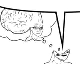 Thread 33222178 OP Image