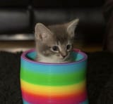 IMG_1289