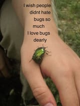 i dont hate roaches but i am afraid of them_ show me any species beetle and i&#039;ll love you