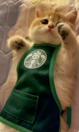 Welcome to ✨StarCats✨ What can I get you_