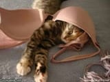 Bra love!