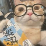˚⊱🤓⊰˚