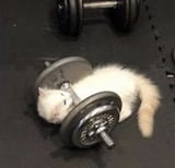 actual picture of me in the gym
