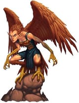 DnDHarpy_7686