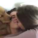 dog_thumb.jpg