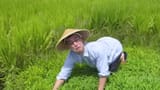 filthy frank welcome to the rice fields