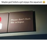 dsgasdf