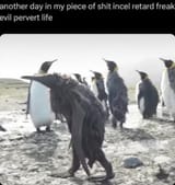 penguin