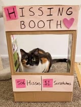 hissing_booth