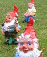 Gartenzwerg