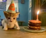 Me bc birthday