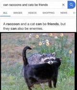 1696570819193383
