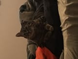 IMG_2212