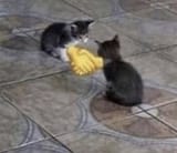 20220707_153607