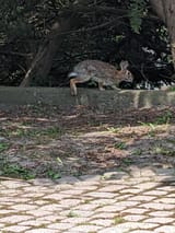 PXL_20240522_151700498