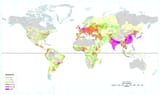 World_population_density_1994_-_with_equator