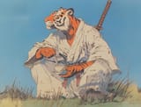 tigersamurai