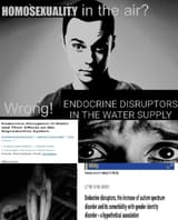Endocrine Disruptors