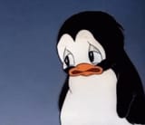 sad penguin