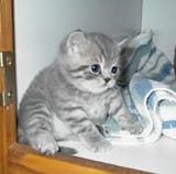 too cute for words