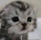 _(