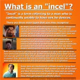 incelinfographic