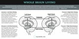 Sloww-Whole-Brain-Living-Four-Characters-Infographic-1024x512