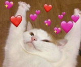 15708