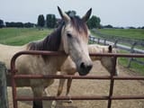IMG_20250612_141136