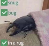 Thread 33258728 OP Image