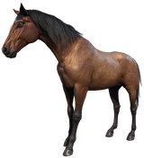 Thread 33264979 OP Image