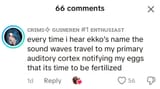 eggs