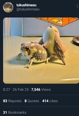 Thread 33402957 OP Image